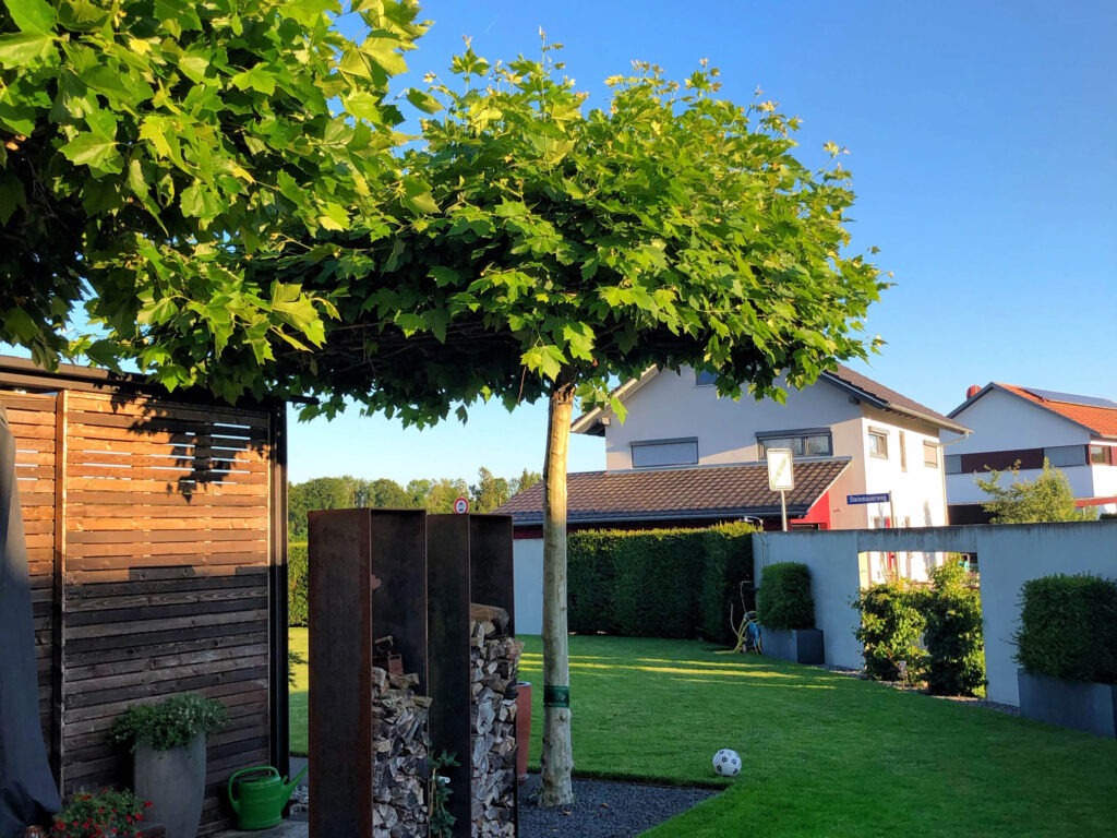 Kappler Garten- und Landschaftsbau