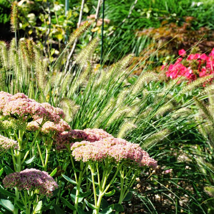Kappler Garten- und Landschaftsbau